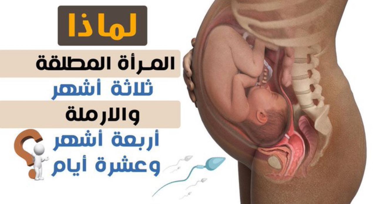 سبب اختلاف عدة المطلقة عن الأرملة