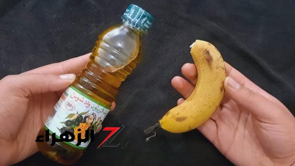 ولا الجن الأزرق يعرفها .. زيت الزيتون والموز حتحقق حلمك في ليلة وحدة
