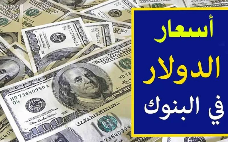 سعر الدولار بعد ساعات من قرار المركزي