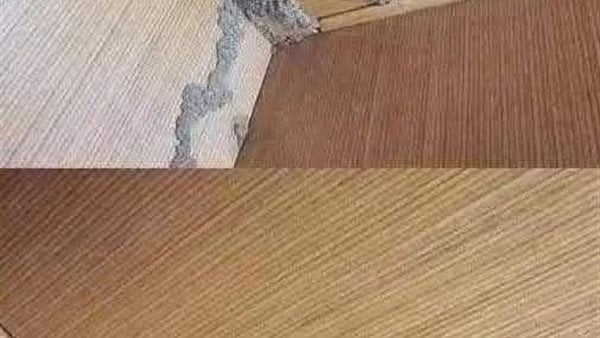 غادر المنزل اذا رايت هذه الخيوط البيضاء على الجدران