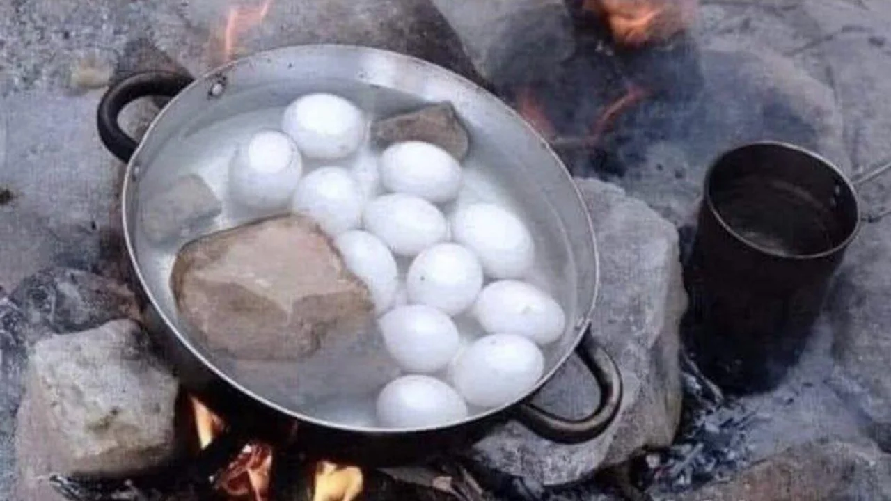 سبب وضع الحجارة عن سلق البيض