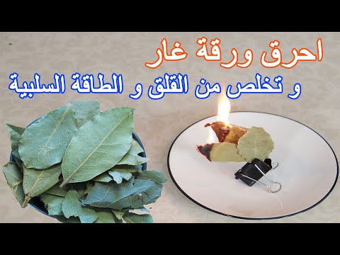 فوائد حرق ورق الغار في البيت