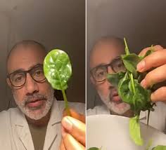 طبيب يكشف عن نبات رخيص يمنع الجلطة ويخفض الوزن وينقي البشرة
