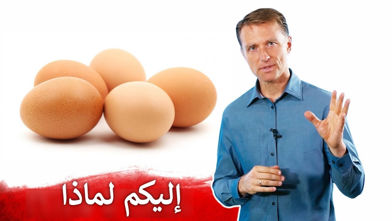 فوائد اكل خمس بيضات يوميا