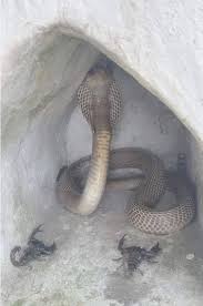 أنا سمر، عندي ٢٨ سنة من يوم ما ماتت أمي
