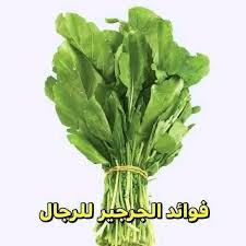 ماذا يحدث لجسم الرجل عن تناول الجرجير