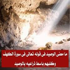 معنى الوصيد في سورة الكهف