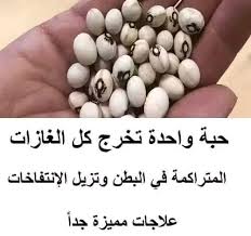 حبة واحدة تخرج كل الغازات المتراكمة في البطن