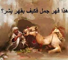 هذا جمل فكيف بقهر بشر